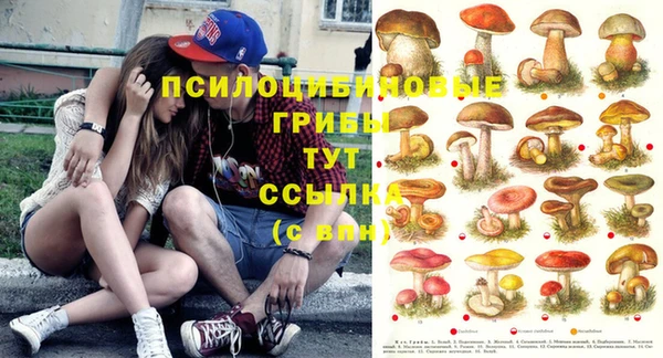 герыч Абаза